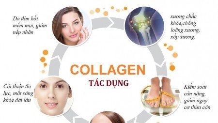 Collagen Thủy Phân Là Gì? Top 4 Loại Collagen Thủy Phân Nên Dùng