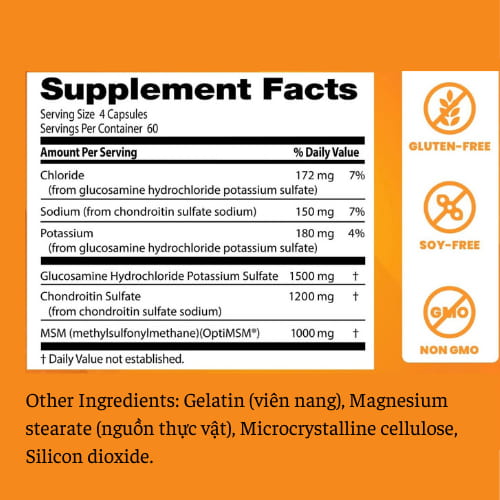 Hỗ Trợ Xương Khớp Doctor's Best Glucosamine Chondroitin MSM Hỗ Trợ Xương Khớp Doctor's Best Glucosamine Chondroitin MSM