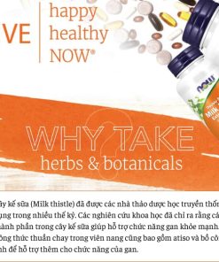 Thải Độc Gan Now Silymarin Milk Thistle Extract 300mg