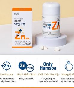 Hamsoa Gluconate Zinc Full 120 Viên
