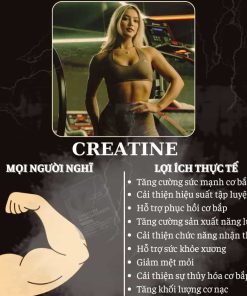 Sports Research Creatine Monohydrate Powder 500g