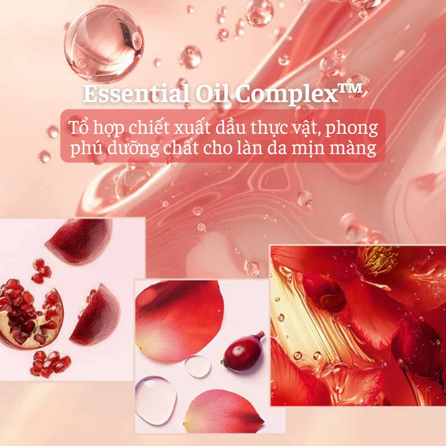 Sữa Rửa Mặt The Whoo Jinyulhyang Essential Foam Cleanser Sữa Rửa Mặt The Whoo Jinyulhyang Essential Foam Cleanser