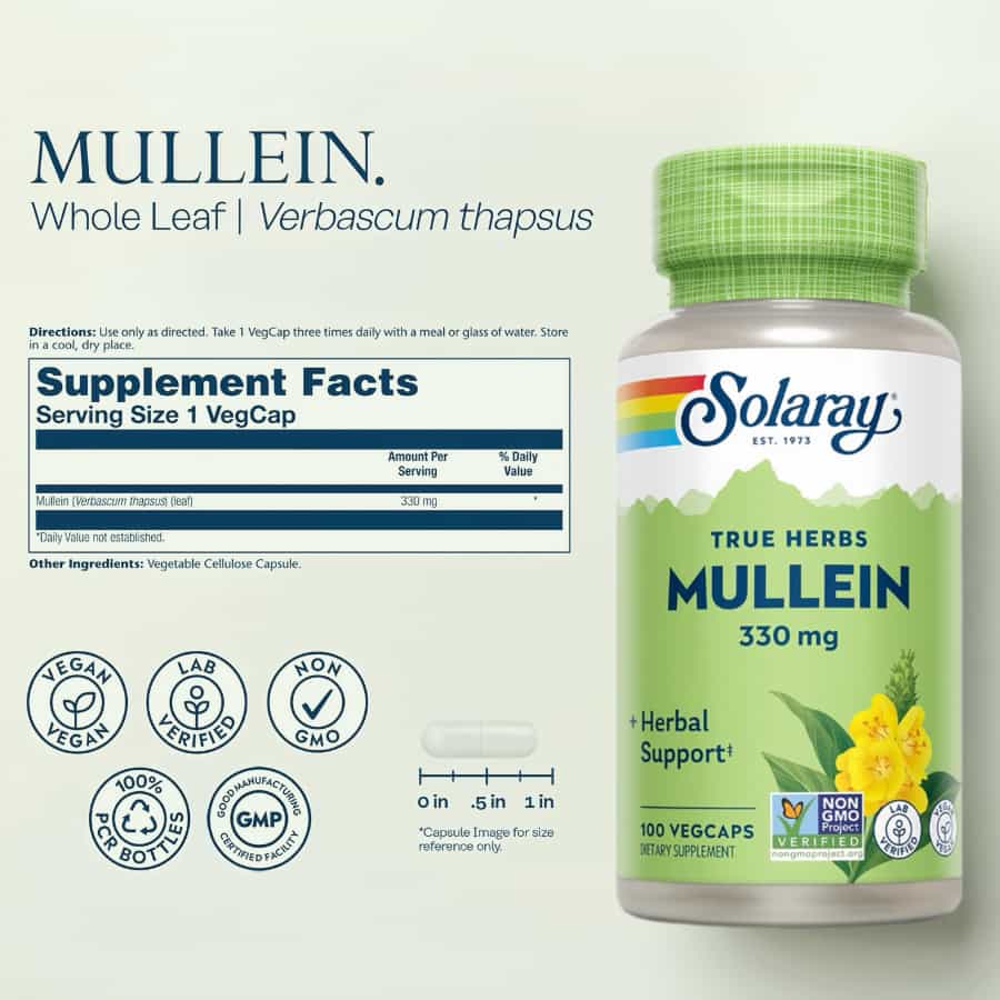 Mullein Leaf Extract 330mg, 100 Viên