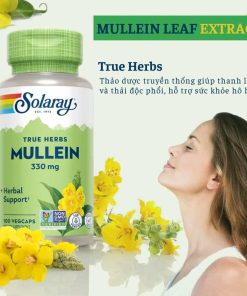 Solaray Mullein Leaf Extract 330mg, 100 Viên