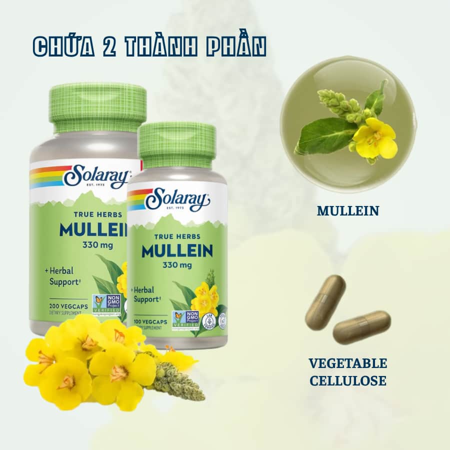Solaray Mullein Leaf Extract 330mg, 100 Viên