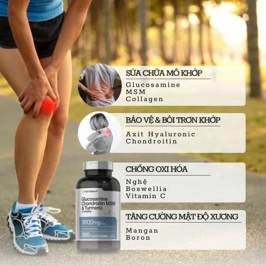 Hỗ Trợ Xương Khớp Horbaach Glucosamine Chondroitin MSM 360 Viên