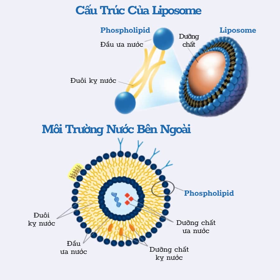 Tinh Chất Dưỡng Da Missha Vita C Plus Spot Correcting & Firming Ampoule 40ml