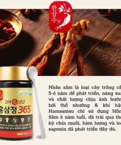 Cao Hồng Sâm 365 Hàn Quốc _ 4 lọ x 240g
