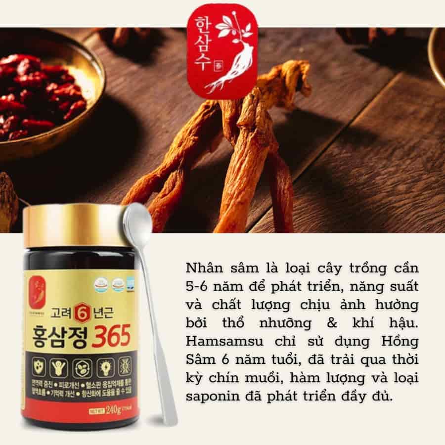 Cao Hồng Sâm 365 Hàn Quốc _ 4 lọ x 240g