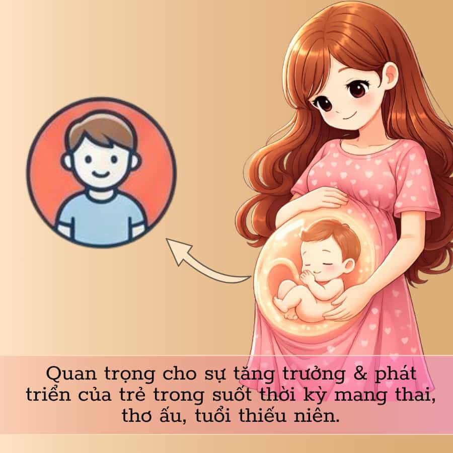 Viên Uống Bổ Sung Canxi Now Calcium Hydroxyapatite Caps - Hỗ trợ sức khỏe xương